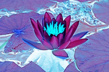 F 028B